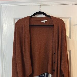 American Eagle Outfitters Brown Cardigan Sweater